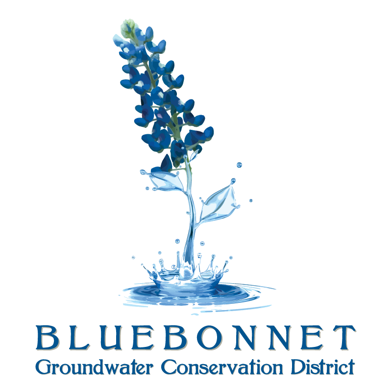 Bluebonnet GCD